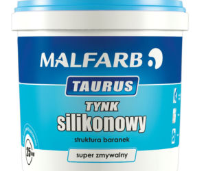 Usuwanie glonów z elewacji