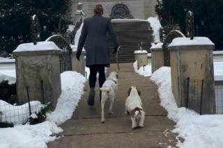 Pieski w Pałacu Prezydenckim