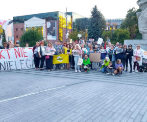 Opole. Protest w obronie dzieci z Michałowa [ZDJĘCIA]