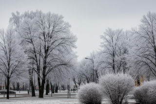 Kielce obudzi się 03.12.2025 w zimowej szacie? Zaskakujące prognozy na dziś!