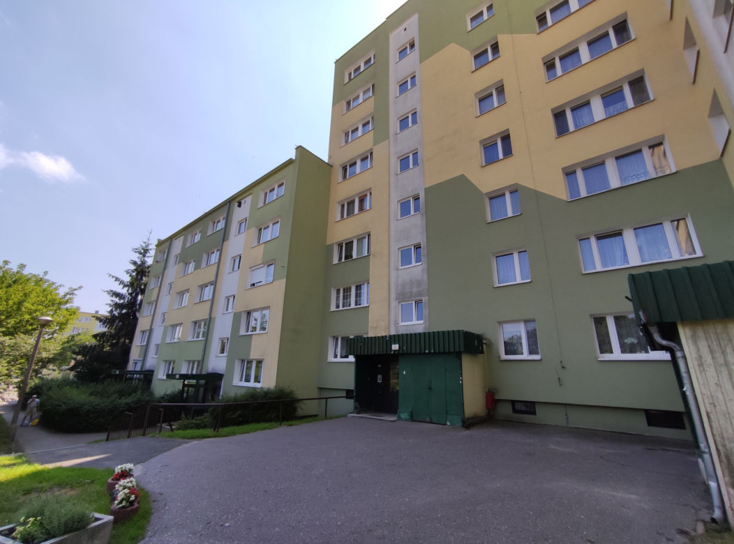 Karaluchy straszą mieszkańców bloku przy ulicy Witeckiego 3 w Bydgoszczy 