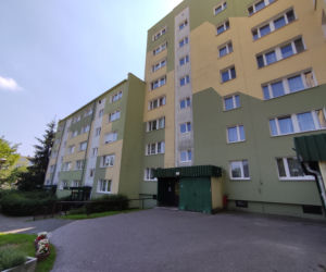 Karaluchy straszą mieszkańców bloku przy ulicy Witeckiego 3 w Bydgoszczy 