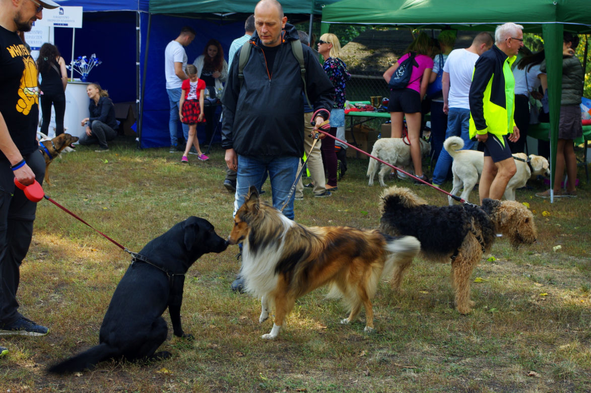 II Piknik na 4 Łapach