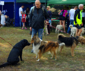 II Piknik na 4 Łapach