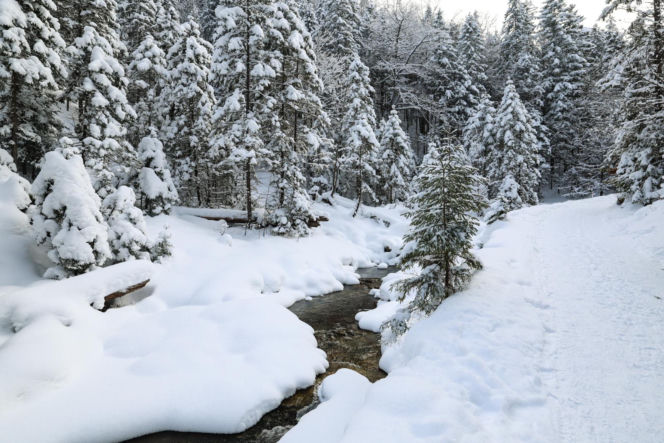 W Tatrach powstały spektakularne lodospady