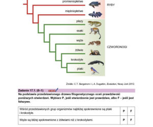 Próbna matura 2026 biologia. WSZYSTKIE arkusze CKE i odpowiedzi 14.01.