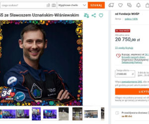 Najciekawsze aukcje gwiazd dla WOŚP. Sprawdź, co można wylicytować