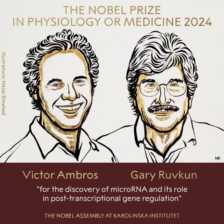 Amerykańscy biolodzy Victor Ambros i Gary Ruvkun zostali tegorocznymi laureatami Nagrody Nobla