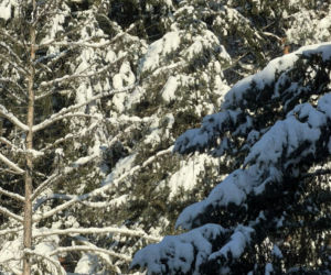 Sroga zima ponownie uderzyła na Pomorzu