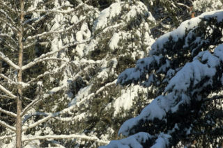 Sroga zima ponownie uderzyła na Pomorzu