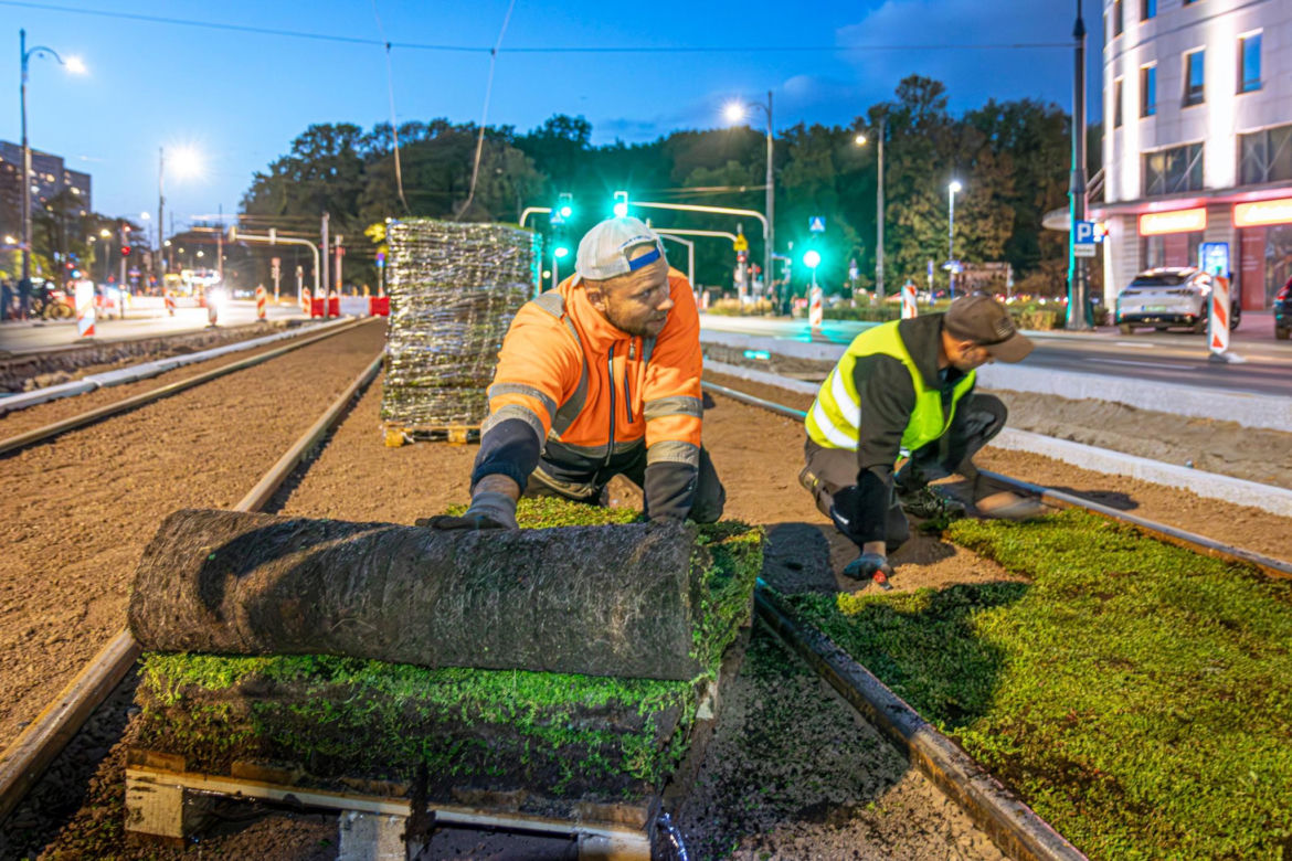 Wielki powrót tramwajów na Marszałkowską. Pojadą po zielonym dywanie