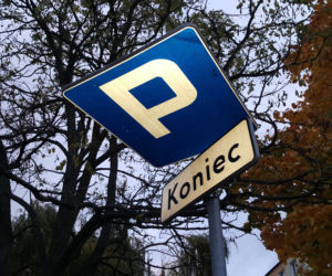 Silny wiatr siał spustoszenie w Bydgoszczy 
