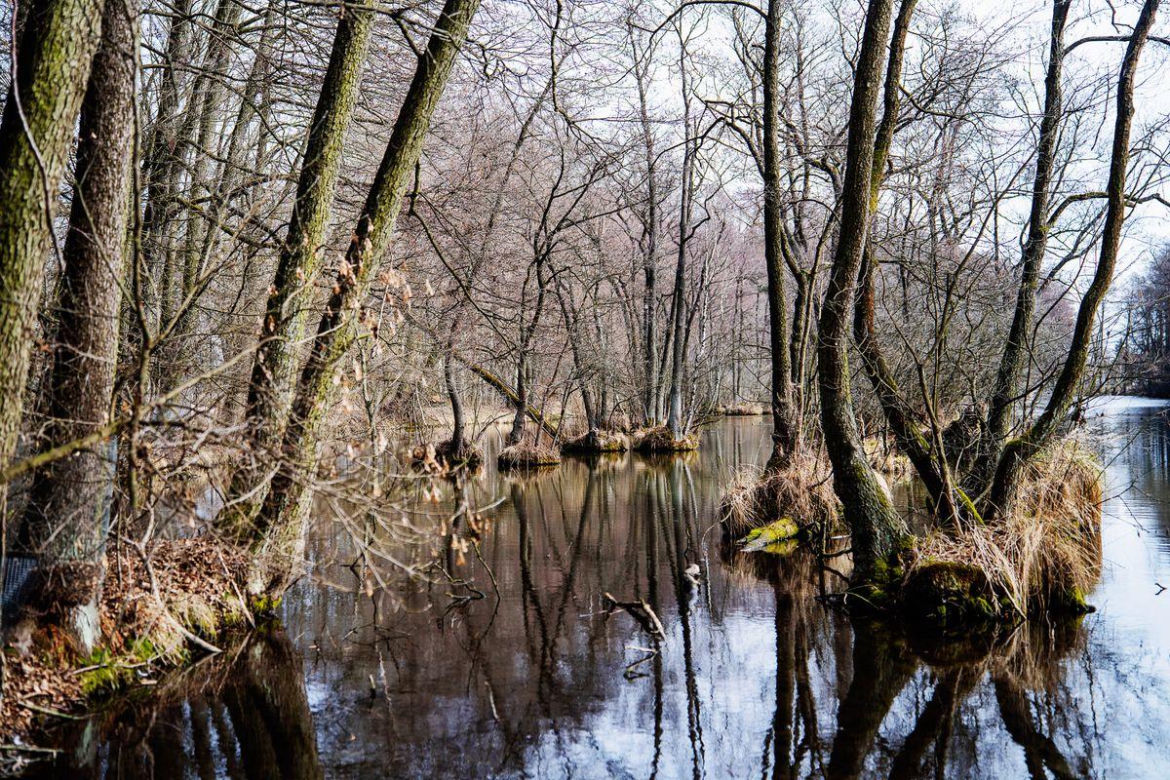 Rezerwat Niebieskie Źródła