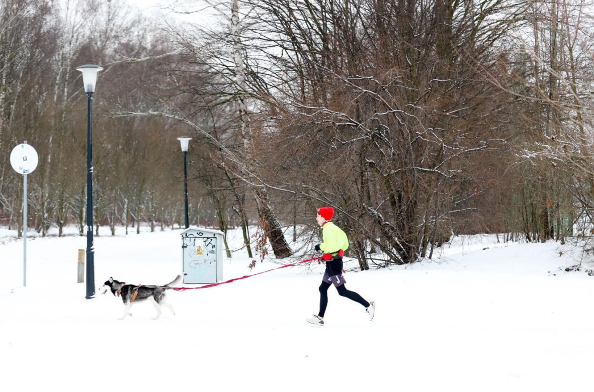 Tam jest jak w bajce! Park Śląski zimą na fotografiach 