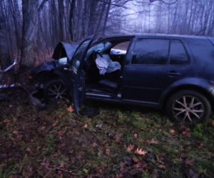 Zjechał z drogi, uderzył w drzewo. Ojciec i jego 5-letni syn w szpitalu