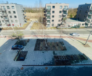 Katowice, osiedle mieszkań na wynajem przy Korczaka