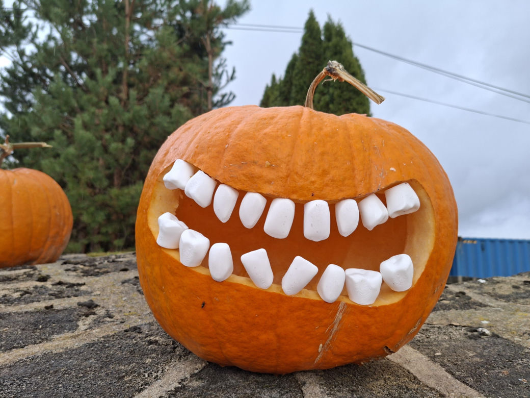 Oto najbardziej halloweenowy dom w Świętokrzyskiem!