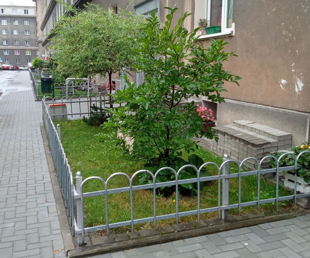 Nowohucianie walczą o ogródki przed blokami