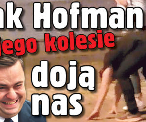 Tak Hofman i jego kolesie doją nas