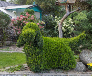 Topiary