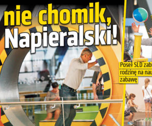 To nie chomik, to Napieralski!