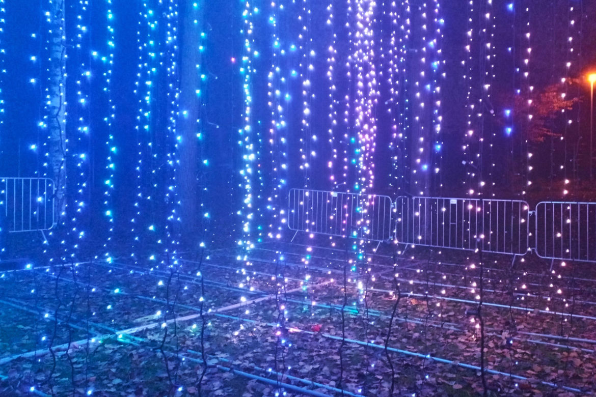 Garden of Lights w Szczecinie