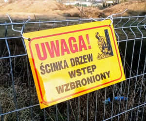 Wielki krater na Pogodnie