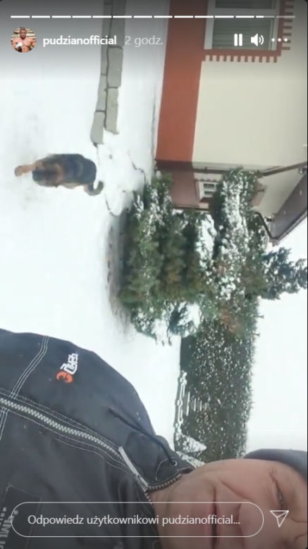 Mariusz Pudzianowski i jego psy