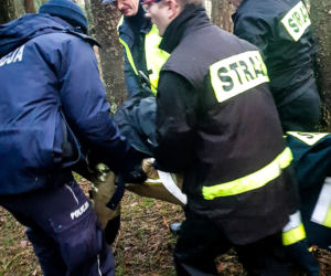 Mońki (woj. podlaskie). Staruszka zamarzała w lesie