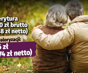 Emerytura bez podatku 