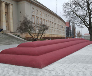 Pufa miejska nad Odrą
