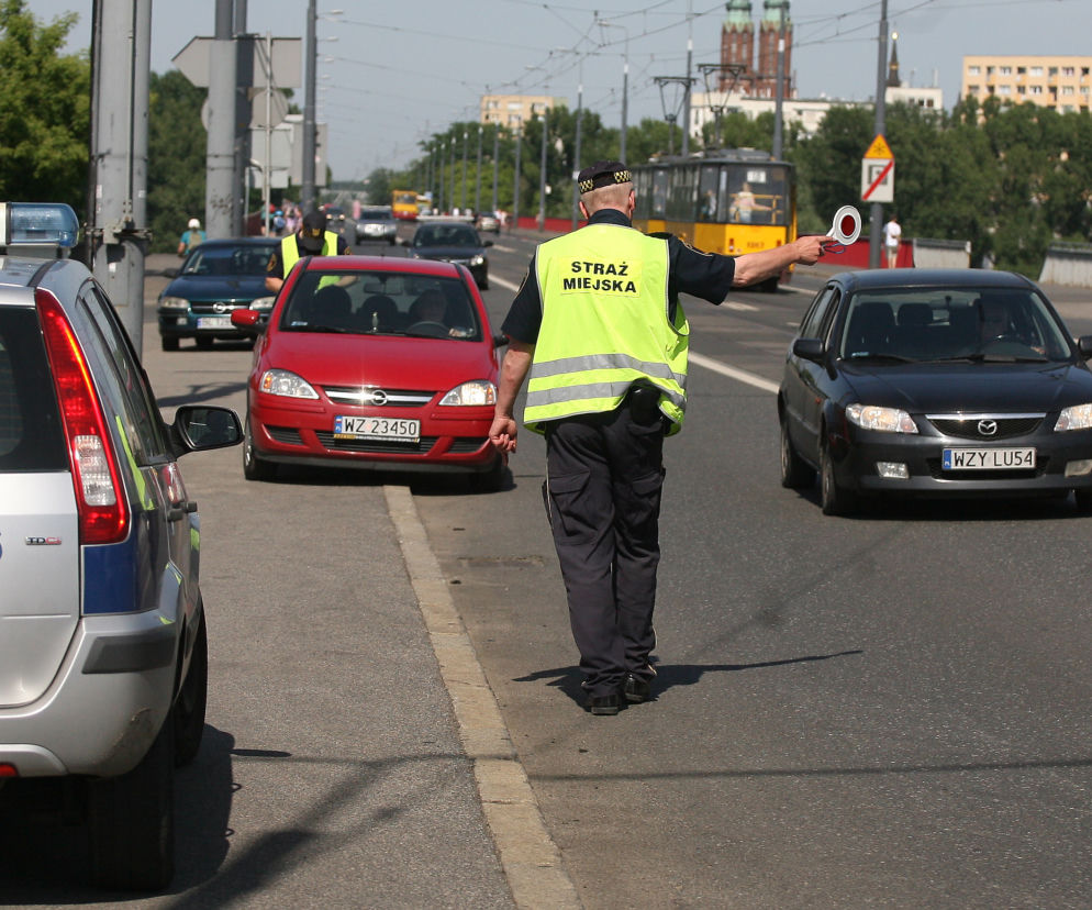 straż miejska wlepia mandaty