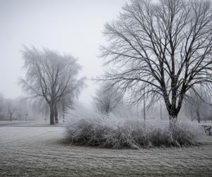 Wałbrzych pod lodowym uściskiem 19.11.2025. Czy zima uderzy z zaskoczenia?