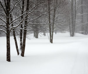 Odwołane lekcje w szkołach. Gdzie uczniowie zostaną w domach?