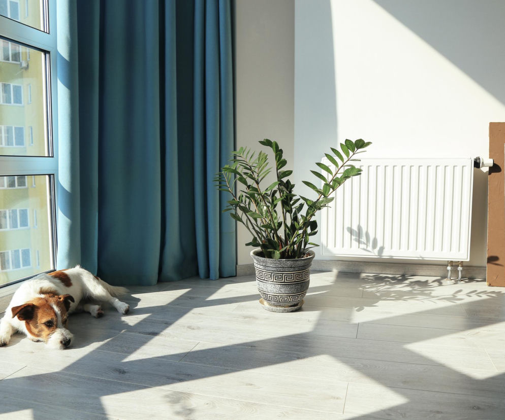 Grzejnik stalowy czy aluminiowy – co wybrać?