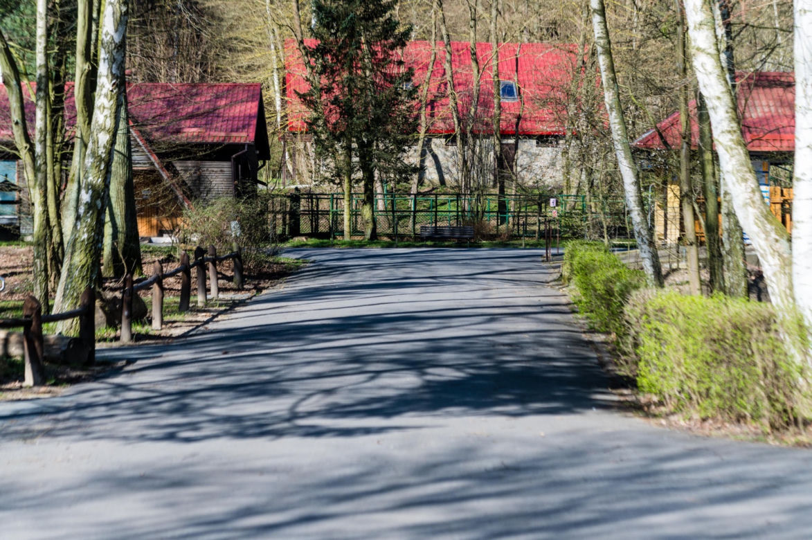 Koronawirus w Trójmieście. ZOO zamknięte na czas kwarantanny