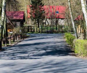 Koronawirus w Trójmieście. ZOO zamknięte na czas kwarantanny