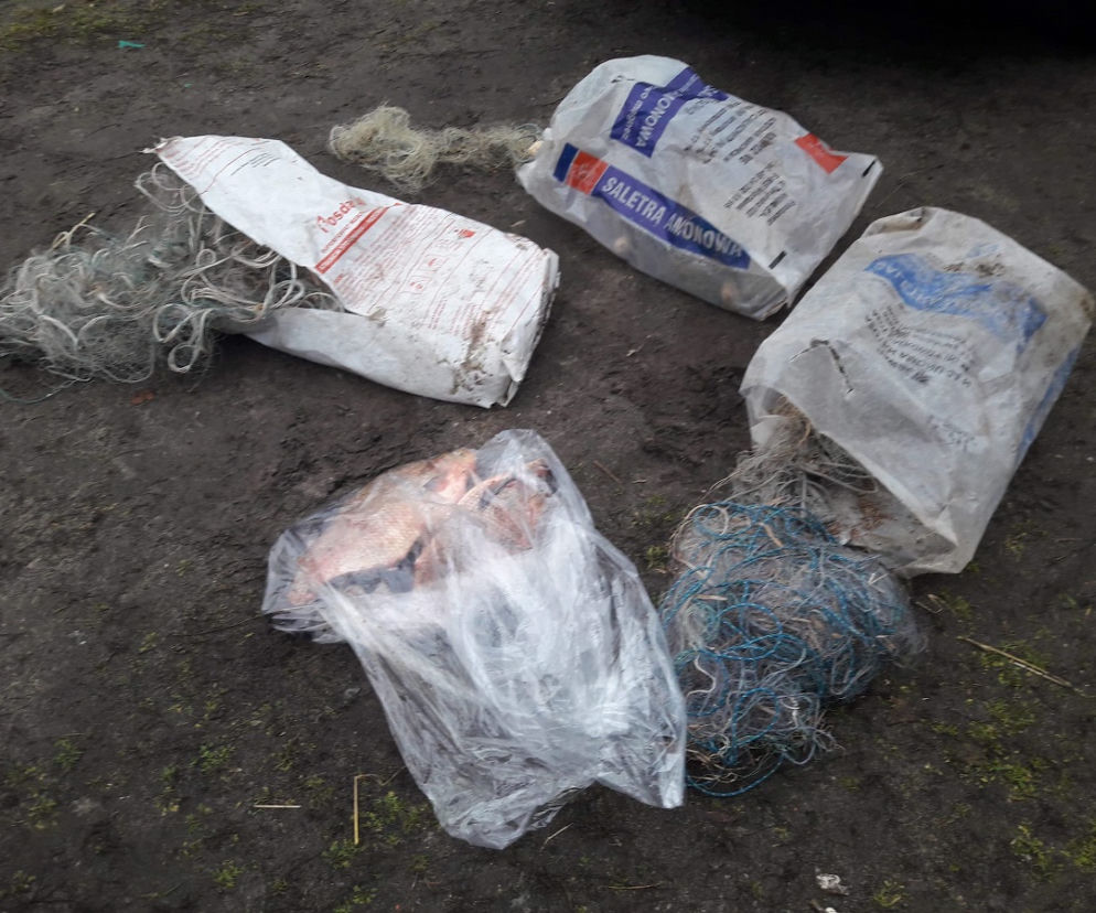 Policjanci wypowiedzieli wojnę kłusownikom! Zatrzymali dwóch mężczyzn