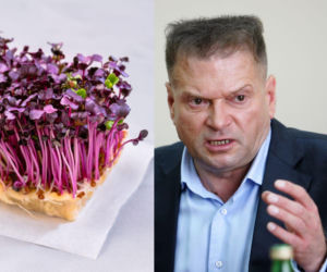 Rzeżuchy które wyglądają jak Krzysztof Rutkowski i jego legendarne fryzury