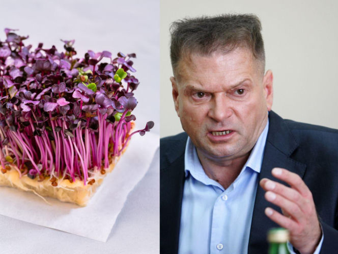 Rzeżuchy które wyglądają jak Krzysztof Rutkowski i jego legendarne fryzury