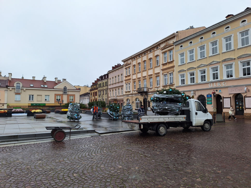 Na rzeszowskim Rynku rozpoczął się montaż świątecznej choinki 