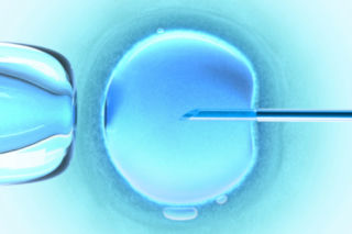 IN VITRO: dlaczego ta metoda uważana jest za kontrowersyjną