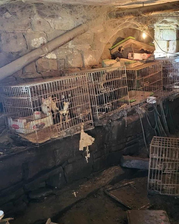 OTOZ Animals interwencja w Żywcu