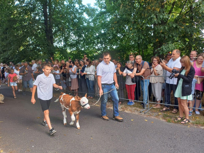 Święcenie zwierząt u św. Rocha 2026