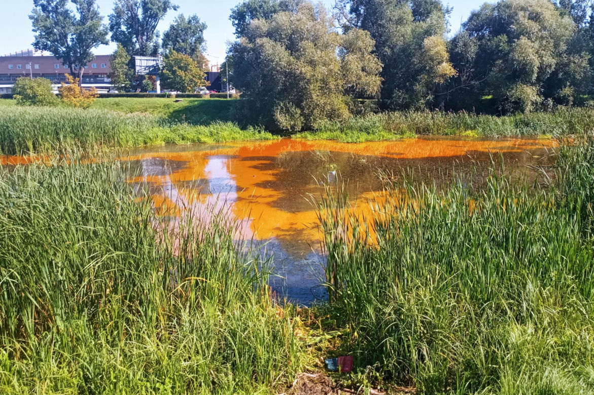 Zanieczyszczone Jezioro Słoneczne