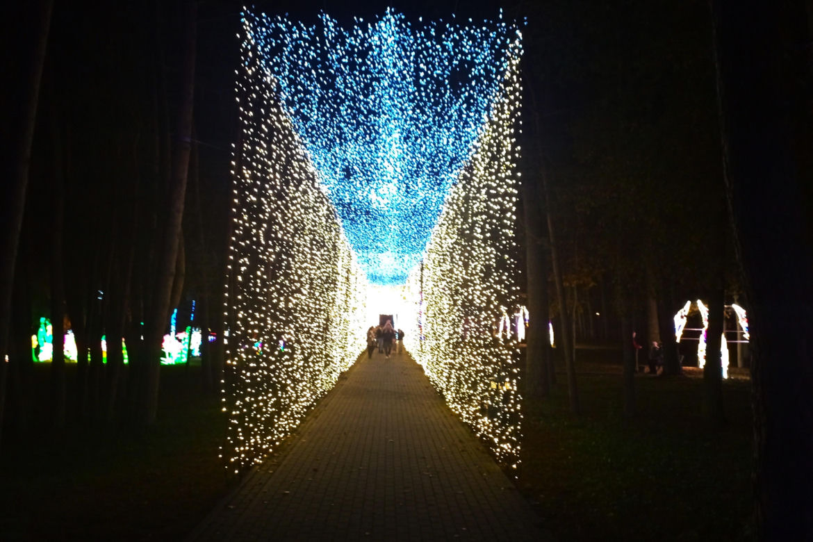 Garden of Lights w Szczecinie