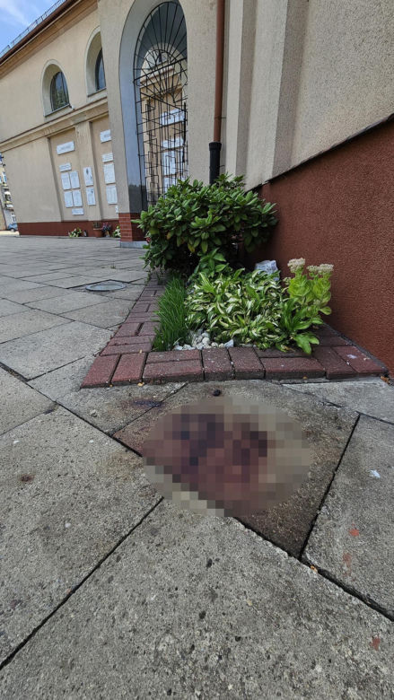 Urodziła Pawełka po kościołem