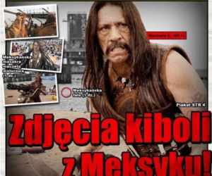 Memy meksyk gdynia kibice z chorzowa (7)