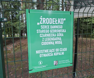 Czarniecka Góra