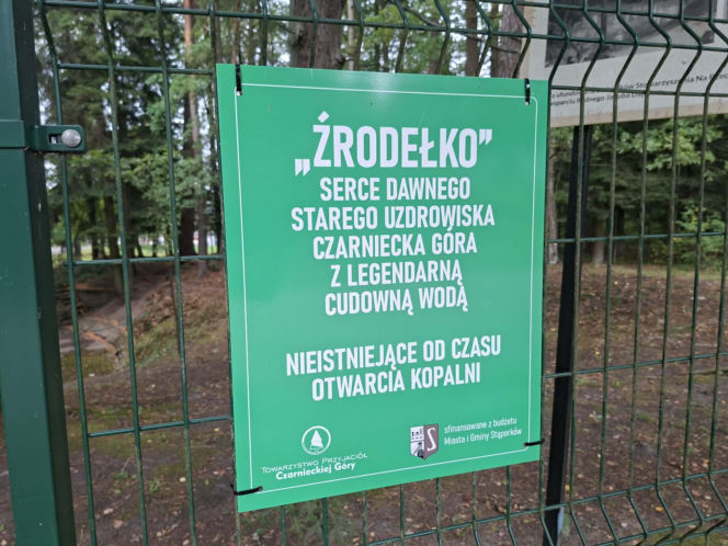 Czarniecka Góra